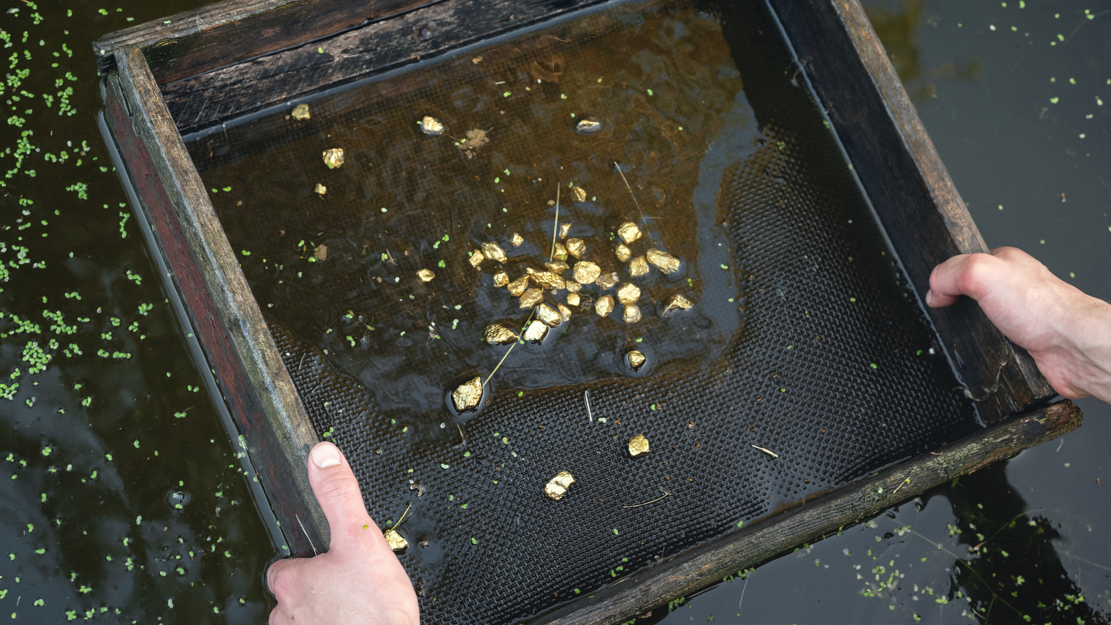 Gold Prospecting